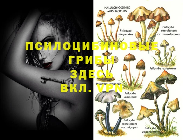 мяу мяу мука Вязники