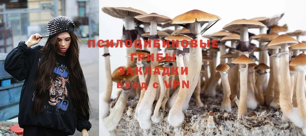 мяу мяу мука Вязники