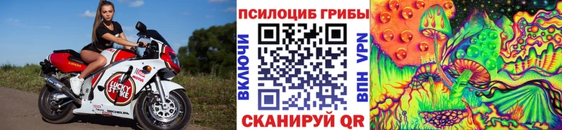 Галлюциногенные грибы ЛСД как найти наркотики Рубцовск